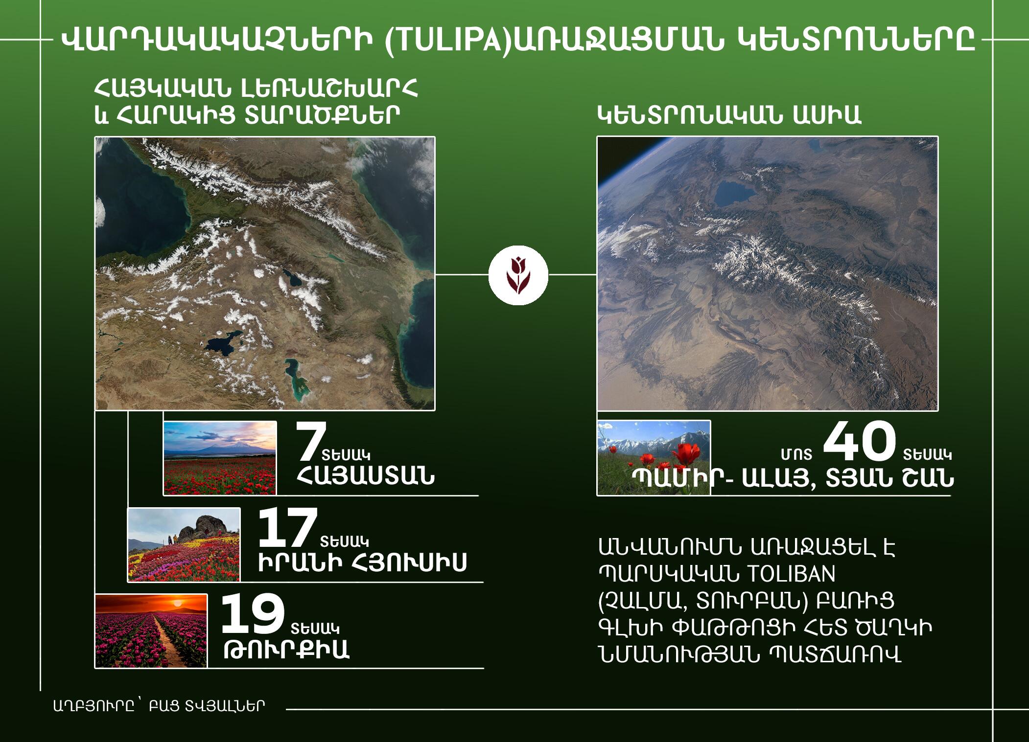 Վարդակակաչների (TULIPA)առաջացման կենտրոնները - Sputnik Արմենիա