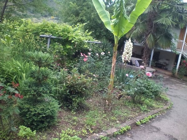 Мелис Бабаян создал в Армении райский уголок и принял у себя в гостях президента Мелис Бабаян создал в Армении райский уголок и принял у себя в гостях президента - Sputnik Армения
