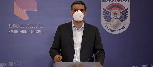 Обудсмен Арман Татоян во время брифинга по теме ситуации на армяно-азербайджанской границе (15 июля 2020). Иджеван - Sputnik Армения