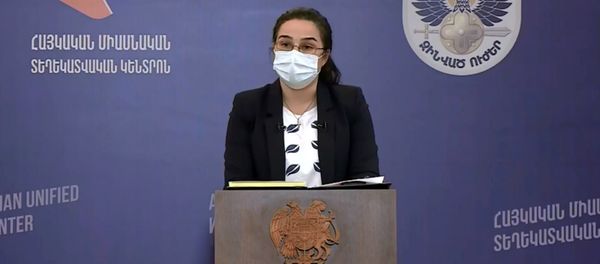 Пресс-секретарь МИД Анна Нагдалян во время брифинга по теме ситуации на армяно-азербайджанской границе (18 июля 2020). Иджеван - Sputnik Արմենիա