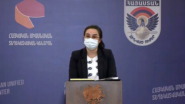 Пресс-секретарь МИД Анна Нагдалян во время брифинга по теме ситуации на армяно-азербайджанской границе (18 июля 2020). Иджеван - Sputnik Армения