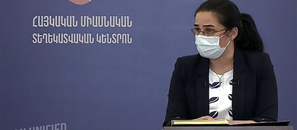 Пресс-секретарь МИД Анна Нагдалян во время брифинга по теме ситуации на армяно-азербайджанской границе (18 июля 2020). Иджеван - Sputnik Արմենիա