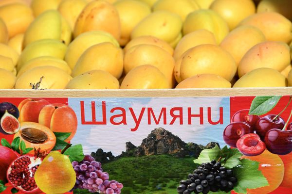Հայկական ծիրանները «Բուխտա» առևտրային տարածքում - Sputnik Արմենիա