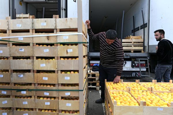 Հայկական ծիրանները «Բուխտա» առևտրային տարածքում - Sputnik Արմենիա