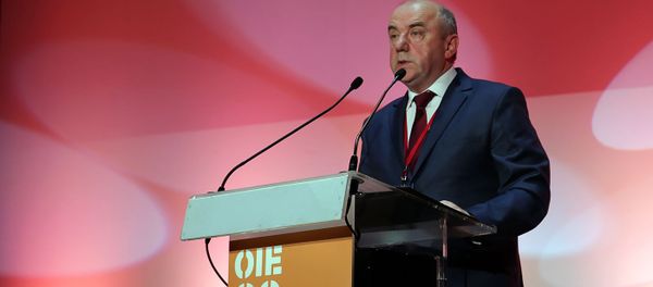 Министр Евразийской экономической комиссии Виктор Назаренко принял участие в 87-й генеральной сессии МЭБ (5 июня 2019). Париж - Sputnik Армения