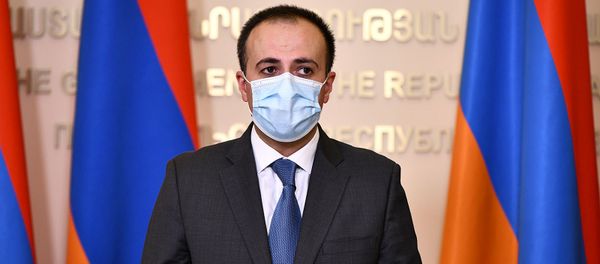 Министр здравоохранения Арсен Торосян на онлайн брифинге по итогам заседания комендатуры (29 июля 2020). Еревaн Министр здравоохранения Арсен Торосян на онлайн брифинге по итогам заседания комендатуры (29 июля 2020). Еревaн - Sputnik Արմենիա