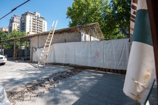 Мэрия ничего не может сделать? В парке Маштоца вырубают деревья по закону - Sputnik Армения