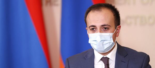 Онлайн-брифинг по итогам заседания комендатуры (5 августа 2020). Еревaн - Sputnik Արմենիա
