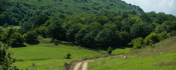 Село Овк, Тавушская область - Sputnik Արմենիա