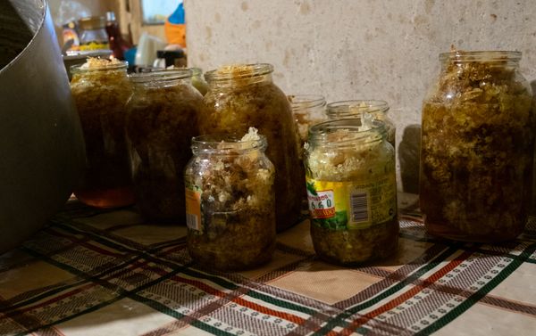 Пчелиный воск с медом в банках - Sputnik Армения