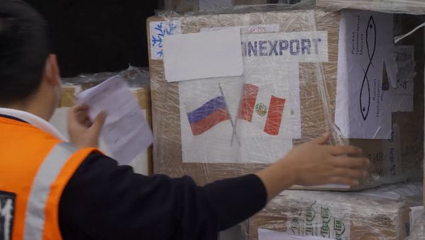 Россия передала Перу тесты на коронавирус. В Лиме сделали заказ на вакцину - Sputnik Армения