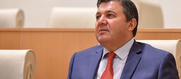 Депутат от правящей партии Грузинская мечта - демократическая Грузия Энзел Мкоян на пленарном заседании парламента Грузии (10 июня 2020). Тбилиси Депутат от правящей партии Грузинская мечта - демократическая Грузия Энзел Мкоян на пленарном заседании парламента Грузии (10 июня 2020). Тбилиси - Sputnik Армения