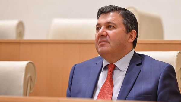 Депутат от правящей партии Грузинская мечта - демократическая Грузия Энзел Мкоян на пленарном заседании парламента Грузии (10 июня 2020). Тбилиси - Sputnik Армения