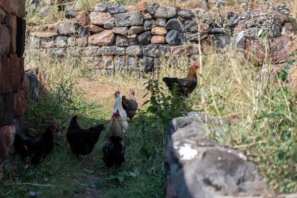 Ջրաձոր գյուղը - Sputnik Արմենիա