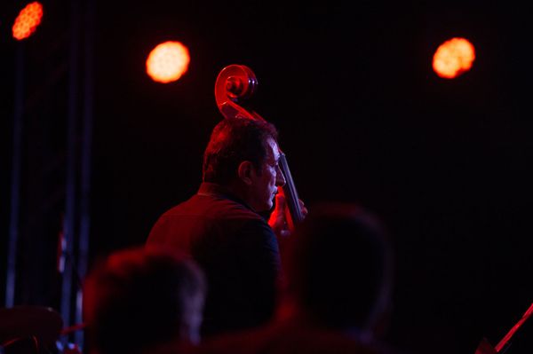 6-ой ежегодный джазовый фестиваль Yerevan Jazz Fest в Тавуше (13 сентября 2020). Берд 6-ой ежегодный джазовый фестиваль Yerevan Jazz Fest в Тавуше (13 сентября 2020). Берд - Sputnik Армения