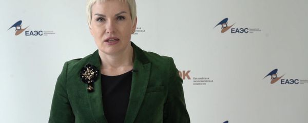 Помощник председателя Коллегии ЕЭК Ия Малкина во время брифинга Помощник председателя Коллегии ЕЭК Ия Малкина во время брифинга - Sputnik Армения