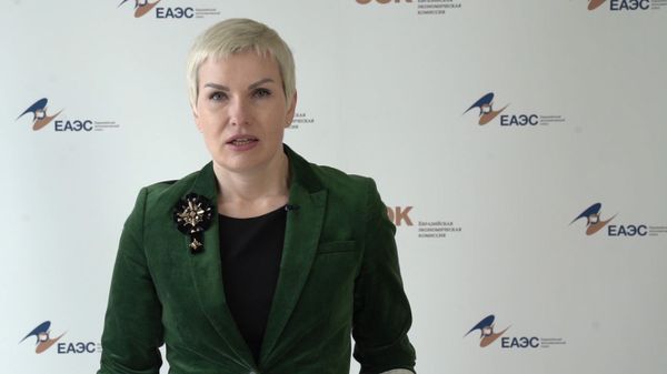 Помощник председателя Коллегии ЕЭК Ия Малкина во время брифинга Помощник председателя Коллегии ЕЭК Ия Малкина во время брифинга - Sputnik Армения