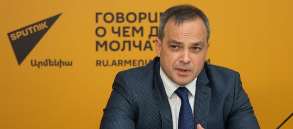 Директор Российского центра науки и культуры в Ереване Сергей Рыбинский во время онлайн видеомоста (24 сентября 2020). Еревaн - Sputnik Армения
