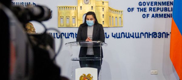 Анна Нагдалян на брифинге с участием Арцруна Ованнисяна (27 сентября 2020). Еревaн - Sputnik Արմենիա