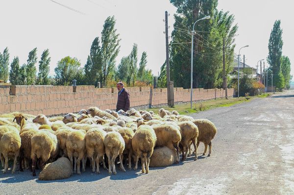 «Մենք դրանց ցույց կտանք». Վարդենիսի գյուղերում պատրաստ են պատերազմին - Sputnik Արմենիա