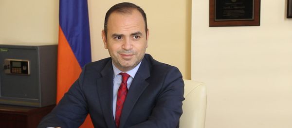 Больше всего добровольцев приезжают из России. Заре Синанян - Sputnik Արմենիա