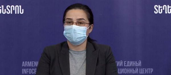 Пресс-конференция официального представителя МИД РА Анны Нагдалян и защитника прав человека Армана Татояна (1 октября 2020). Еревaн Пресс-конференция официального представителя МИД РА Анны Нагдалян и защитника прав человека Армана Татояна (1 октября 2020). Еревaн - Sputnik Արմենիա