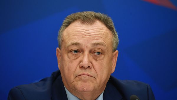 Вице-президент Российского союза туриндустрии Юрий Барзыкин - Sputnik Армения