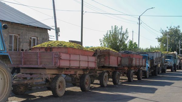 Министр экономики РА Тигран Хачатрян и заместитель министра Арман Ходжоян посетили ряд перерабатывающих предприятий в Араратской области  - Sputnik Արմենիա