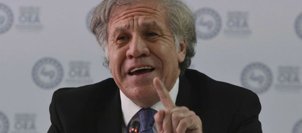 Генеральный секретарь Организации американских государств Луис Альмагро дает пресс-конференцию во время 49-й Генеральной ассамблеи ОАГ в Медельине (26 июня 2019). Колумбия - Sputnik Արմենիա