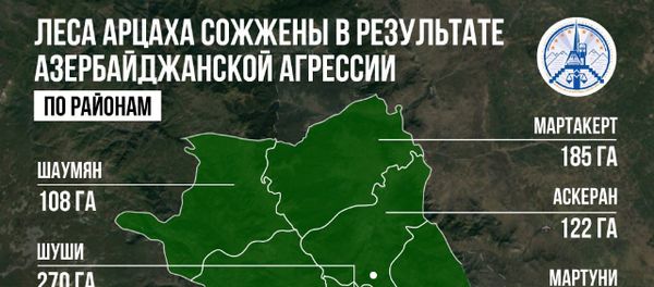 Леса Арцаха сожжены в результате Азербайджанской агрессии - Sputnik Армения