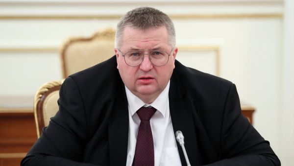Заместитель председателя правительства РФ Алексей Оверчук Заместитель председателя правительства РФ Алексей Оверчук - Sputnik Армения