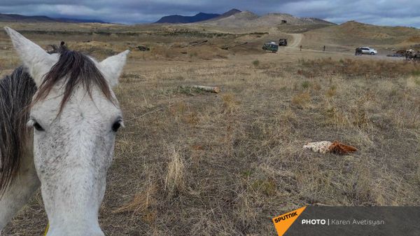 Արխիվային լուսանկար - Sputnik Արմենիա