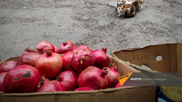 Жизнь в Степанакерте после окончания боевых действий (16 ноября 2020). Карабах - Sputnik Արմենիա