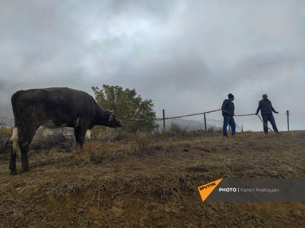 Жители села Нор Марага Мартакертского района Карабаха покидают свои дома перед сдачей территорий азербайджанской стороне (19 ноября 2020). Карабах - Sputnik Армения