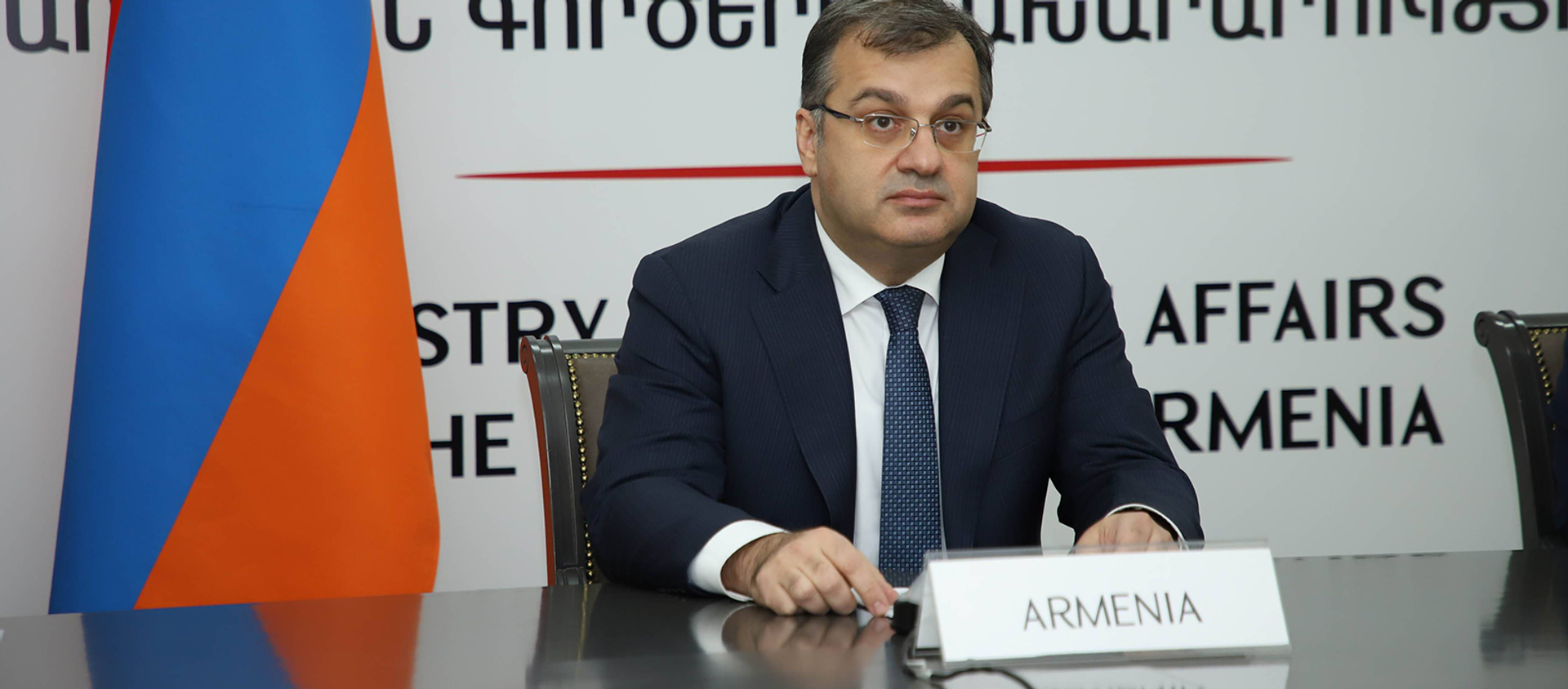 Заместитель министра иностранных дел Армении Артак Апитонян принял участие в 37-м онлайн-заседании министерской конференции Франкофонии (24 ноября 2020). Еревaн Заместитель министра иностранных дел Армении Артак Апитонян принял участие в 37-м онлайн-заседании министерской конференции Франкофонии (24 ноября 2020). Еревaн - Sputnik Армения, 1920, 17.03.2021