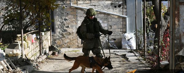 Специалист Международного противоминного центра Минобороны России в составе миротворческих сил во время инженерной разведки (28 ноября 2020). Карабах Специалист Международного противоминного центра Минобороны России в составе миротворческих сил во время инженерной разведки (28 ноября 2020). Карабах - Sputnik Армения