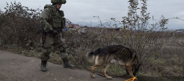 Специалист Международного противоминного центра Минобороны России во время выполнения задач по разминированию местности вблизи Степанакерта (8 декабря 2020). Карабах - Sputnik Արմենիա