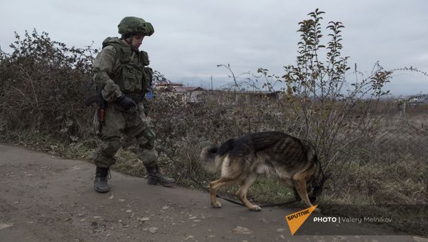 Специалист Международного противоминного центра Минобороны России во время выполнения задач по разминированию местности вблизи Степанакерта (8 декабря 2020). Карабах - Sputnik Արմենիա