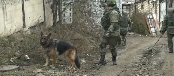 Разминирование территорий частных домов в Степанакерте Разминирование территорий частных домов в Степанакерте - Sputnik Արմենիա