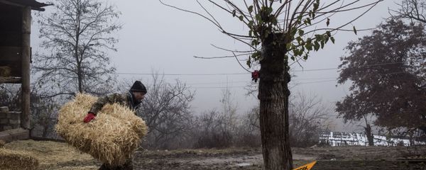 Мужчина перекладывает сено на одной из улиц в селе Тагавард Мартунинского района (11 декабря 2020). Карабах - Sputnik Արմենիա