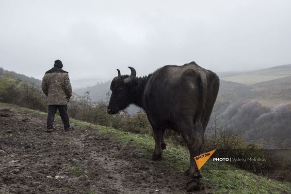 Թաղավարդ գյուղում  - Sputnik Արմենիա