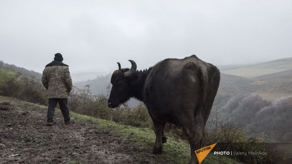 Мужчина на одной из улиц в селе Тагавард Мартунинского района (11 декабря 2020). Карабах - Sputnik Армения