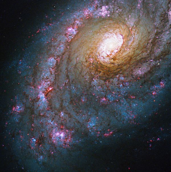 Галактика NGC 5248 в созвездии Волопас - Sputnik Армения