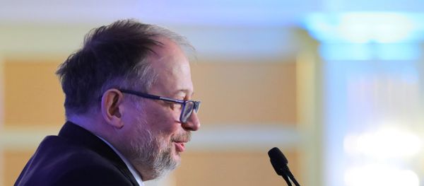Председатель совета директоров ПАО Новолипецкий металлургический комбинат (НЛМК) Владимир Лисин - Sputnik Армения