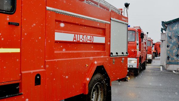 Директор ГСЧС Карен Саркисян  в сопровождении полковника Вадима Гаршена ознакомился с техническими способностями спецтехники службы (24 декабря 2020). Карабах - Sputnik Армения