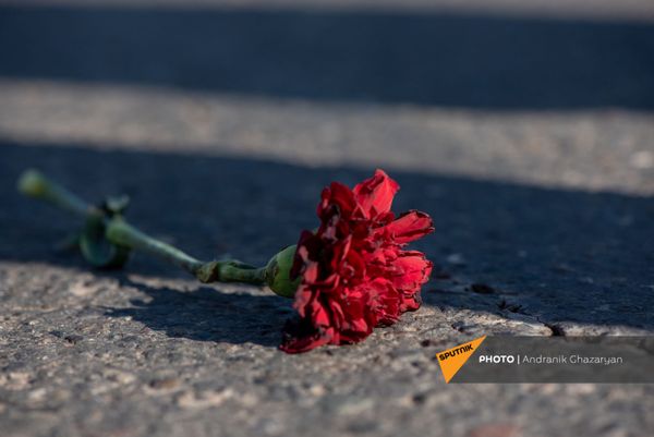 Цветок на асфальте во время Шествия памяти в Ераблур (19 декабря 2020). Еревaн - Sputnik Армения