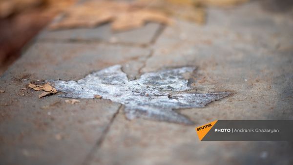 Ледяной отпечаток кленового листа на тротуаре Ледяной отпечаток кленового листа на тротуаре - Sputnik Արմենիա