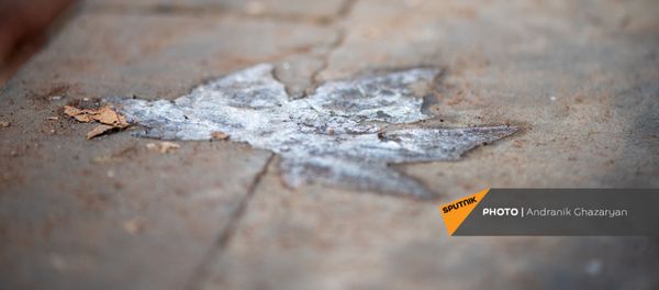 Ледяной отпечаток кленового листа на тротуаре Ледяной отпечаток кленового листа на тротуаре - Sputnik Արմենիա