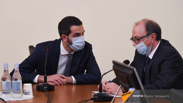 Глава МИД Армении Ара Айвазян (справа) и председатель комиссии по внешним связям Рубен Рубинян на заседании Парламента (14 января 2021). Еревaн - Sputnik Արմենիա