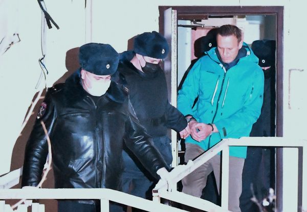 Навальный используется западными спецслужбами - Володин о засланном человеке - Sputnik Армения